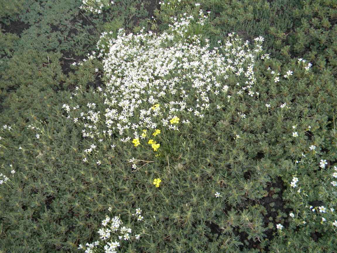 DSCN9522 .JPG